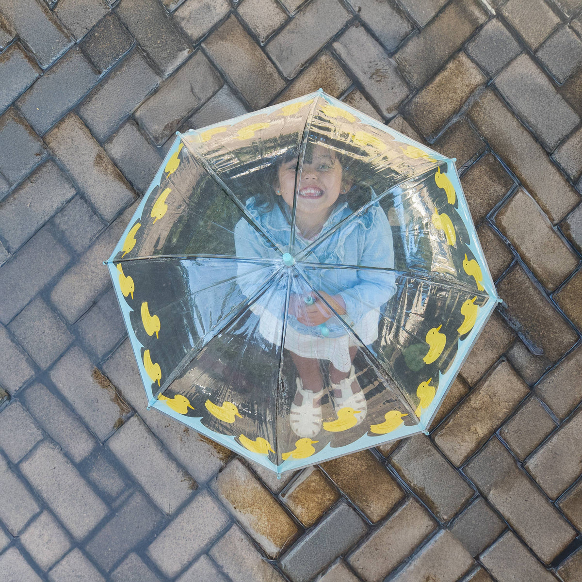 Children's Transparent Umbrella with Ducks