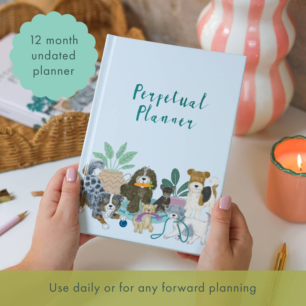 Daily Planner | Cat Themed Undated Diary | Notebook | 2026