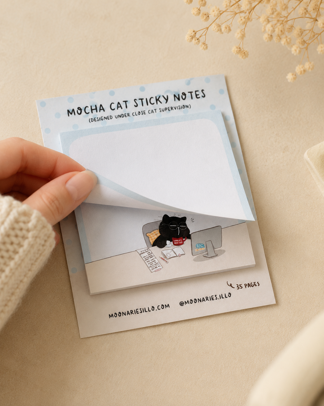 Cat Square Sticky Notes, Coworker Cat Gift