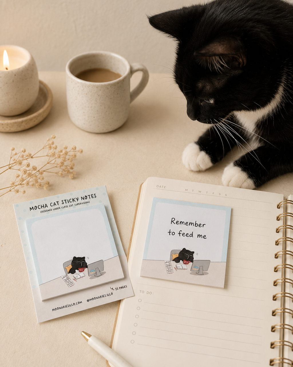 Cat Square Sticky Notes, Coworker Cat Gift