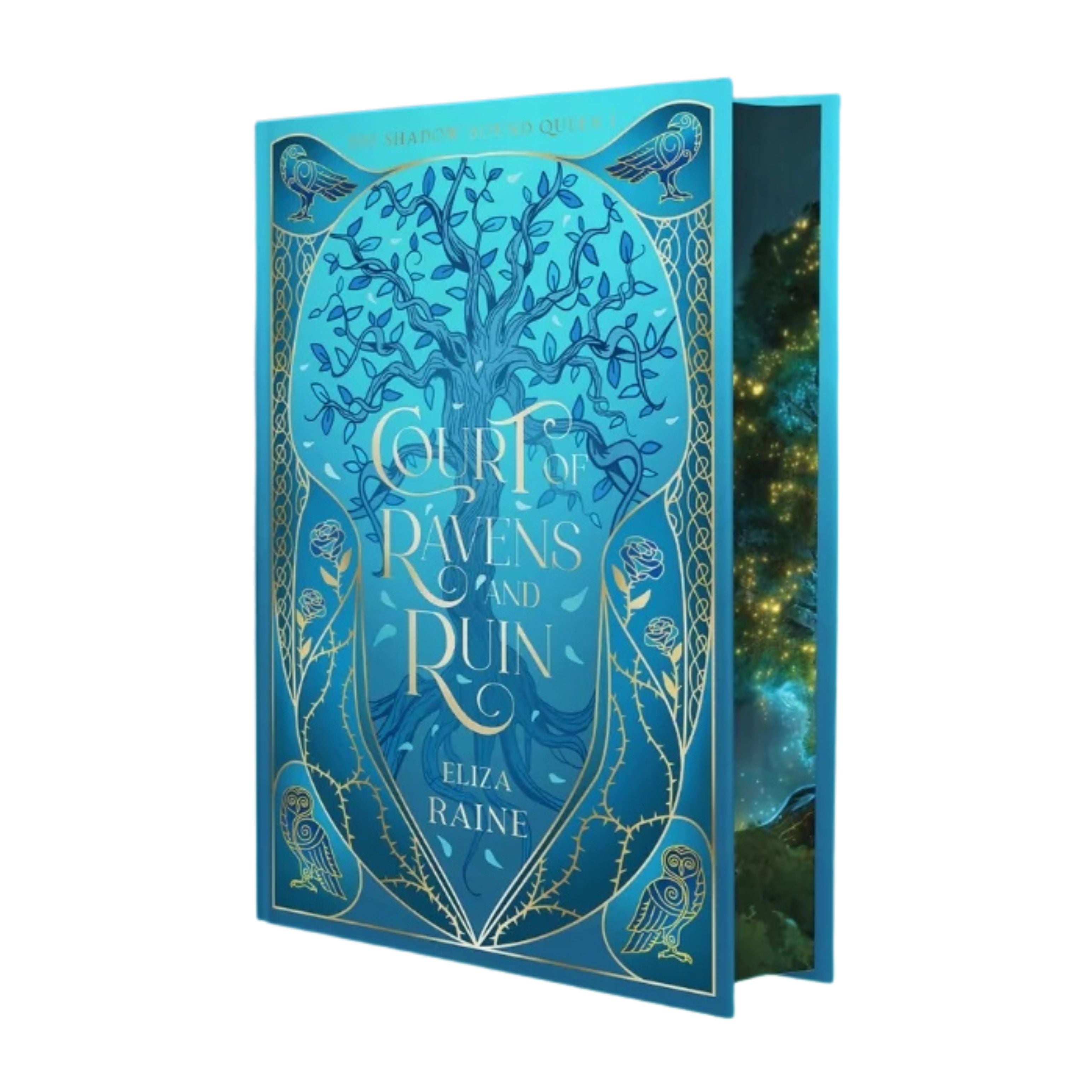 Court of Ravens and Ruin by Eliza Raine (imported special edition)
