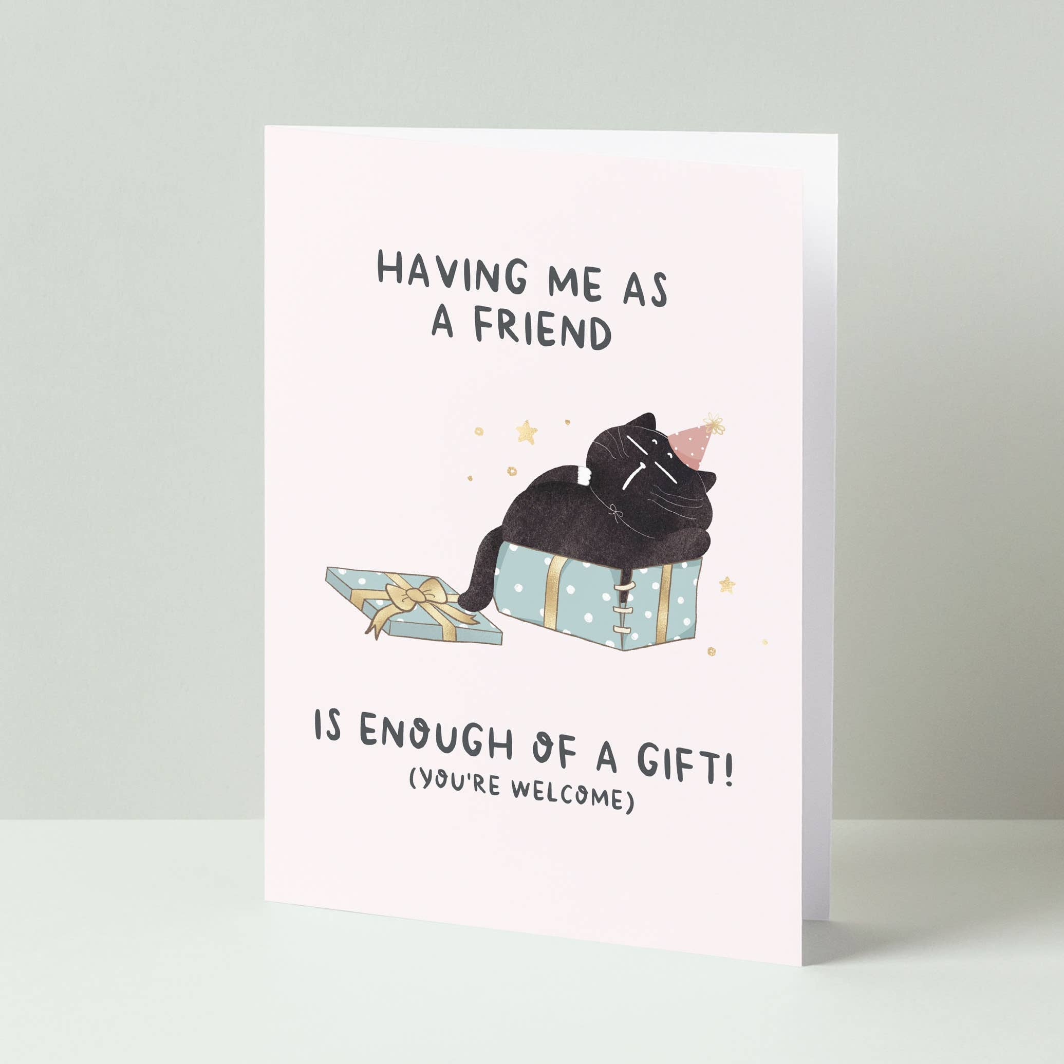 Funny cat birthday card for friends