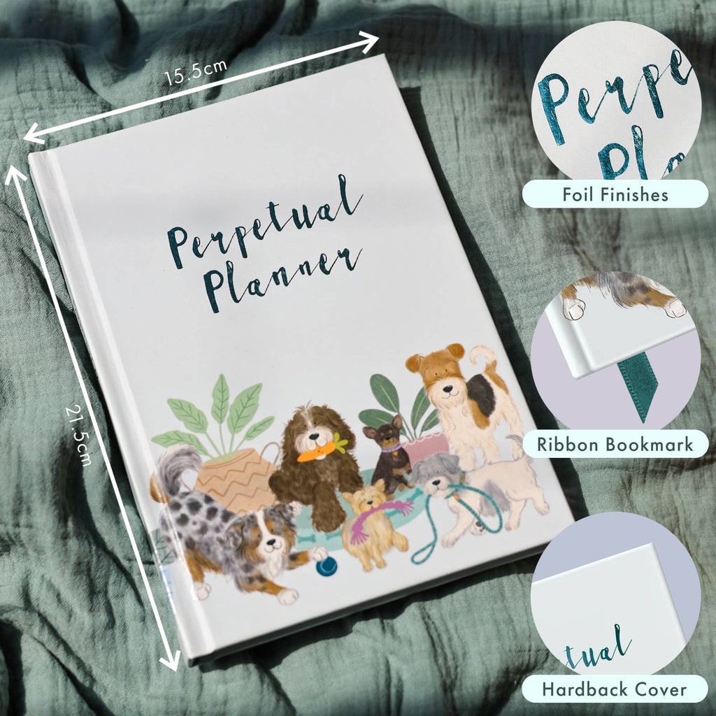 Daily Planner | Cat Themed Undated Diary | Notebook | 2026