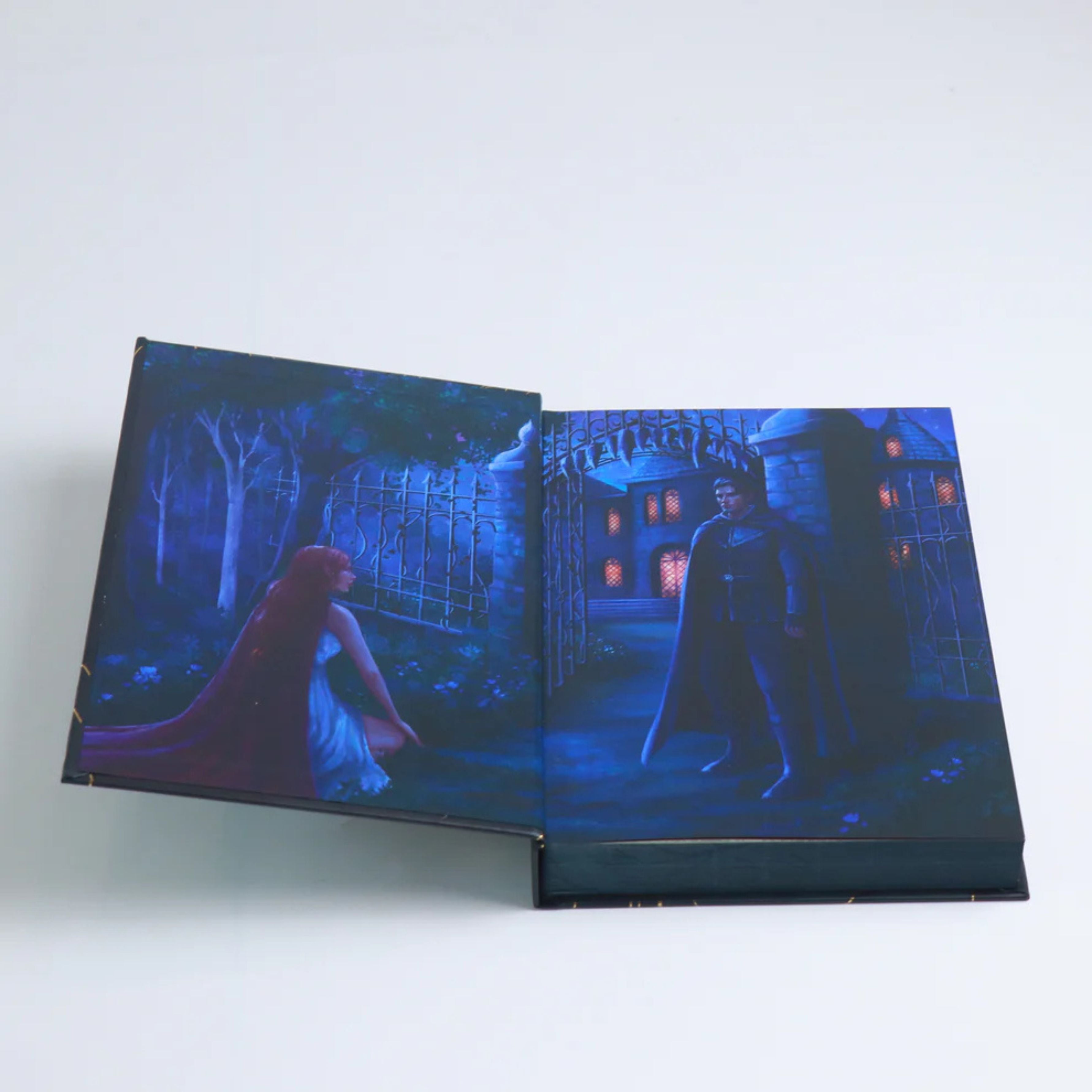 Song of the Dark Wood By Sheila Masterson (imported special edition)