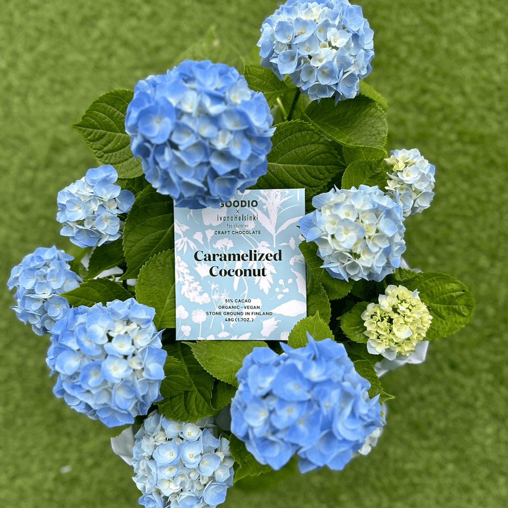 Goodio Chocolate - Caramelized Coconut Chocolate 51%