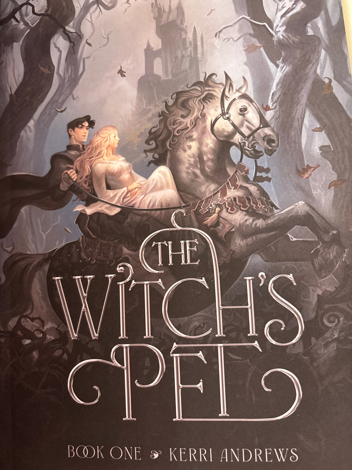 The Witches Pet by Kerri Andrews (paperback)