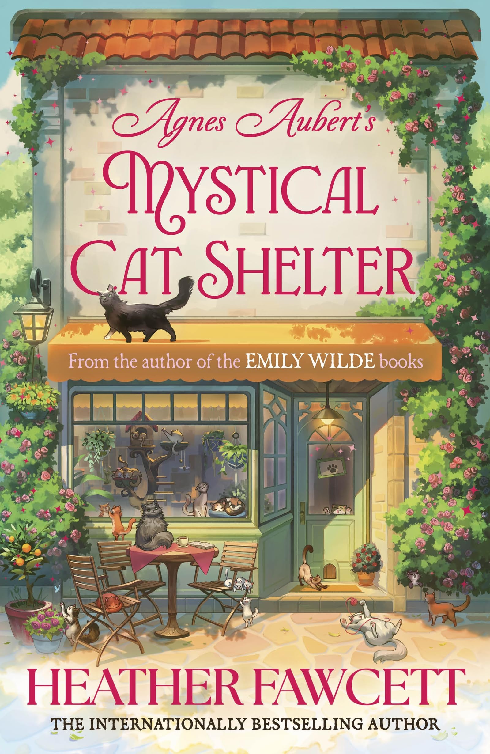 Agnes Aubert's Mystical Cat Shelter by Heather Fawcett (Hardback)