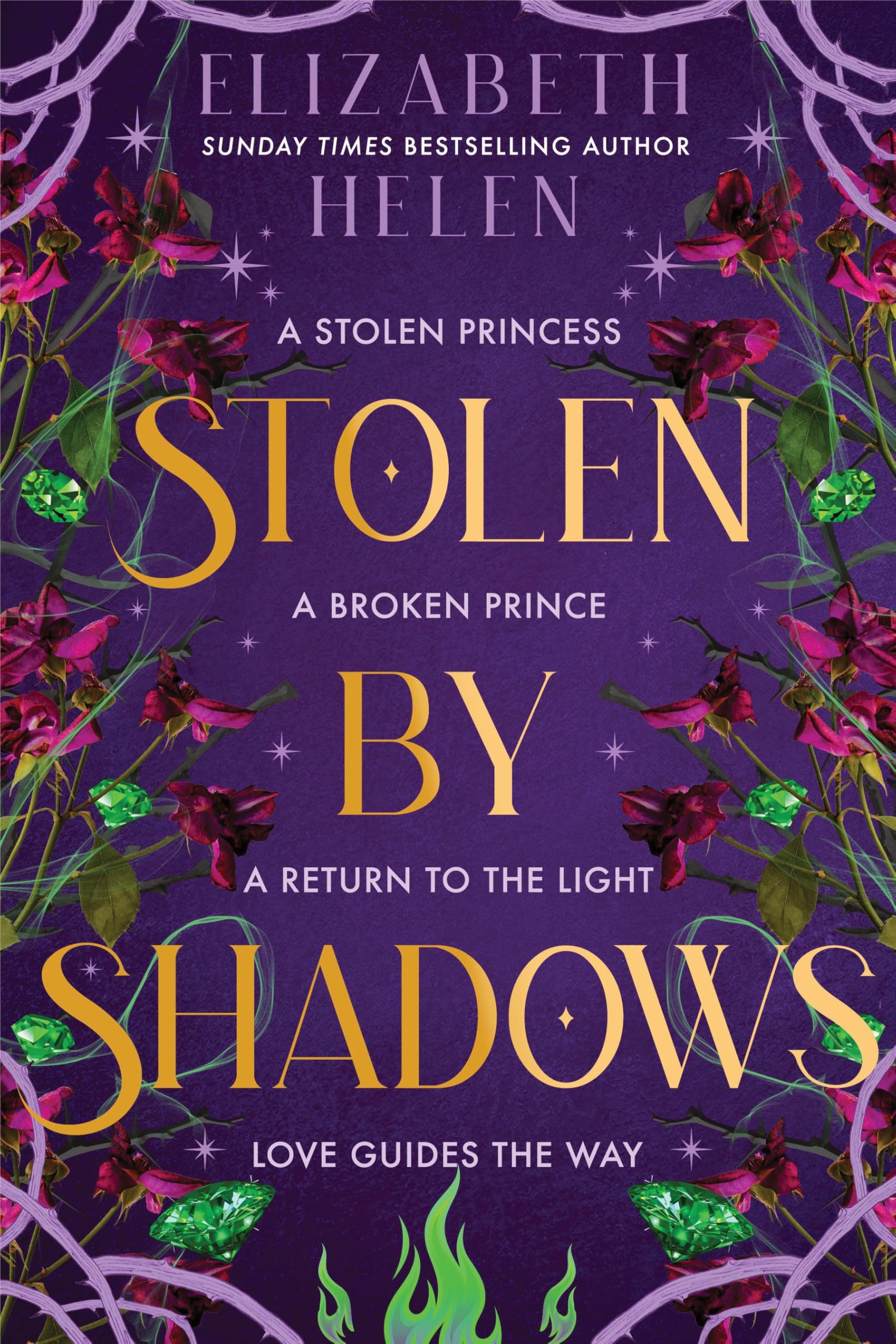 Stolen By Shadows by Elizabeth Helen (UK Hardback)