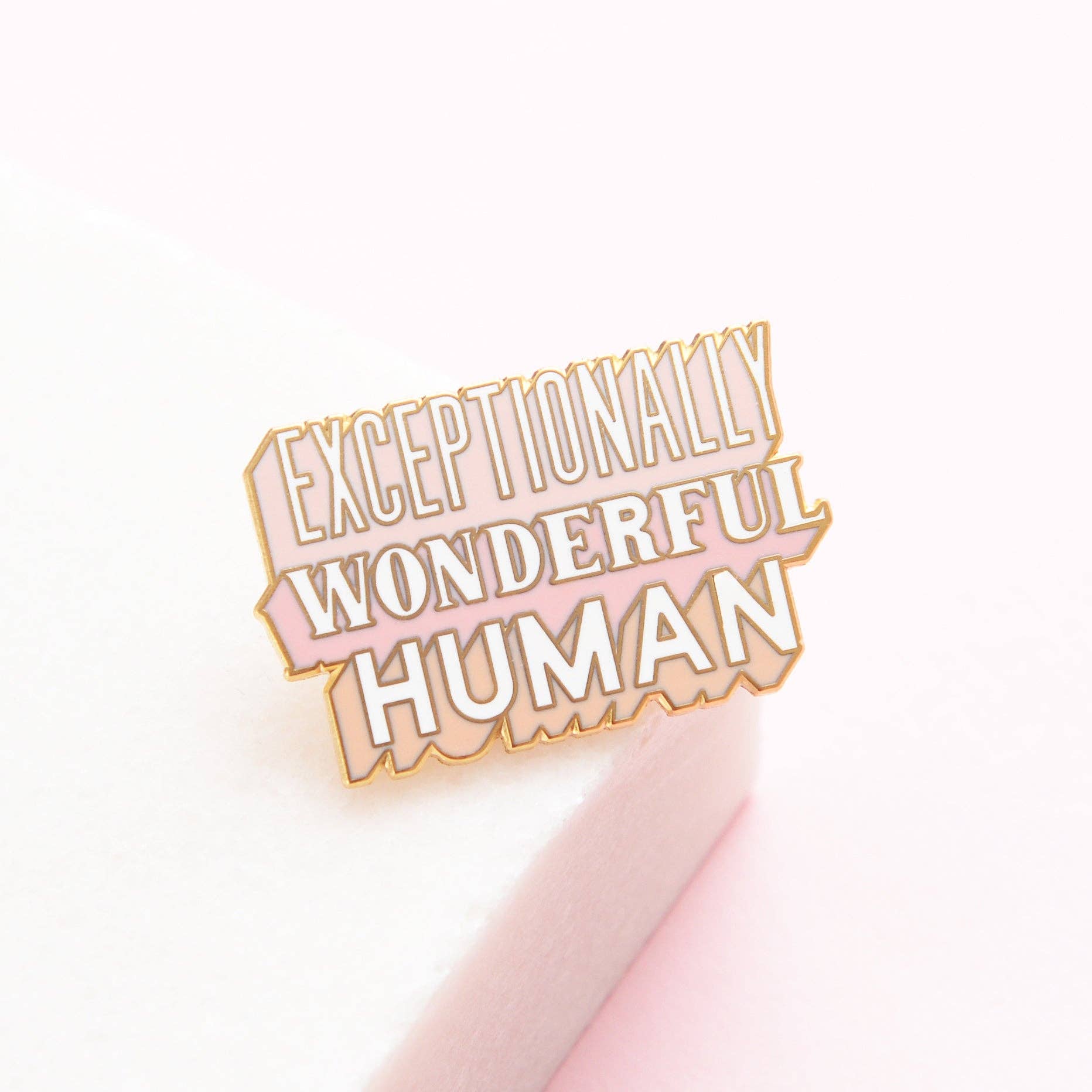 Alphabet Bags - Exceptionally Wonderful Human Enamel Pin