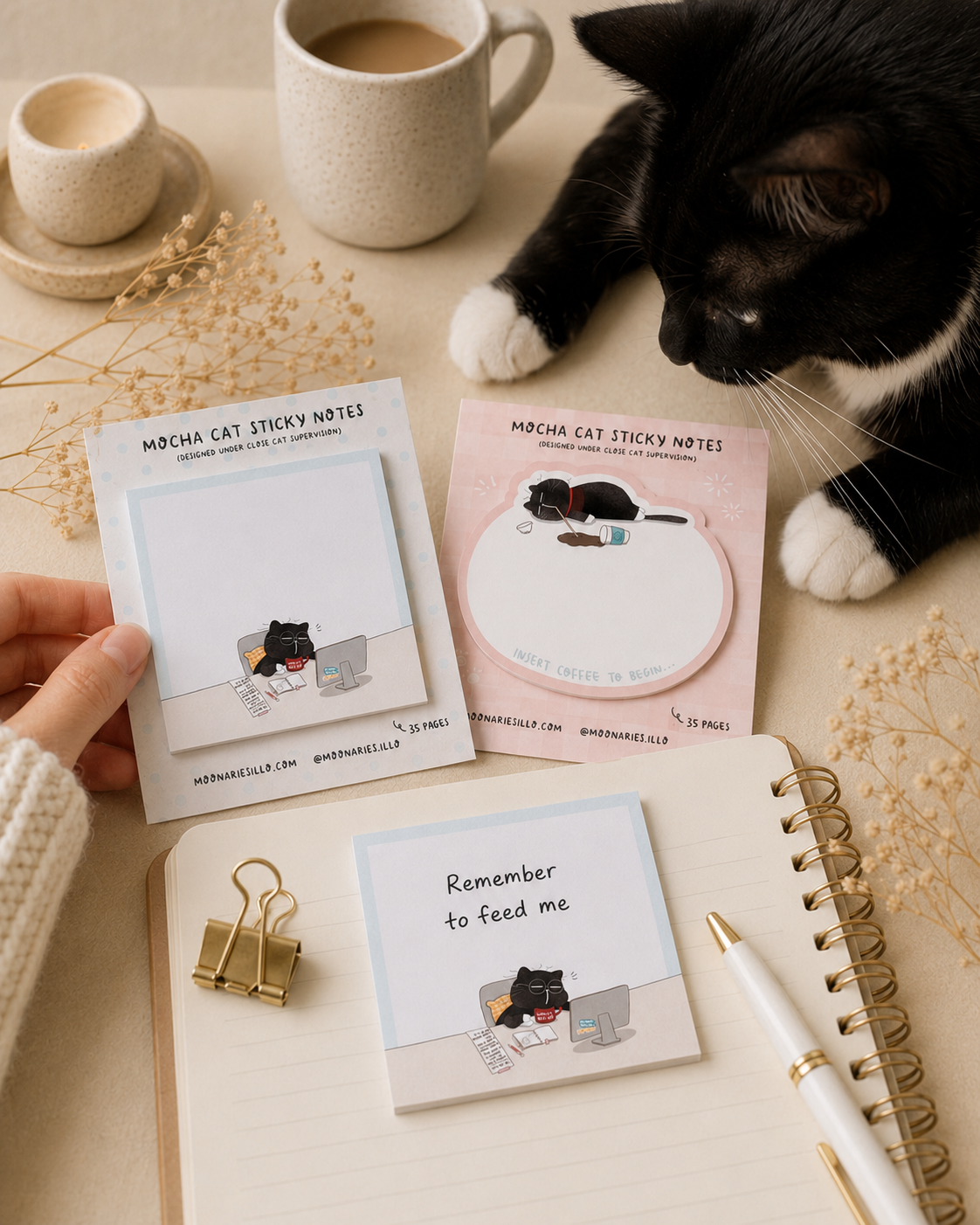 Cat Square Sticky Notes, Coworker Cat Gift