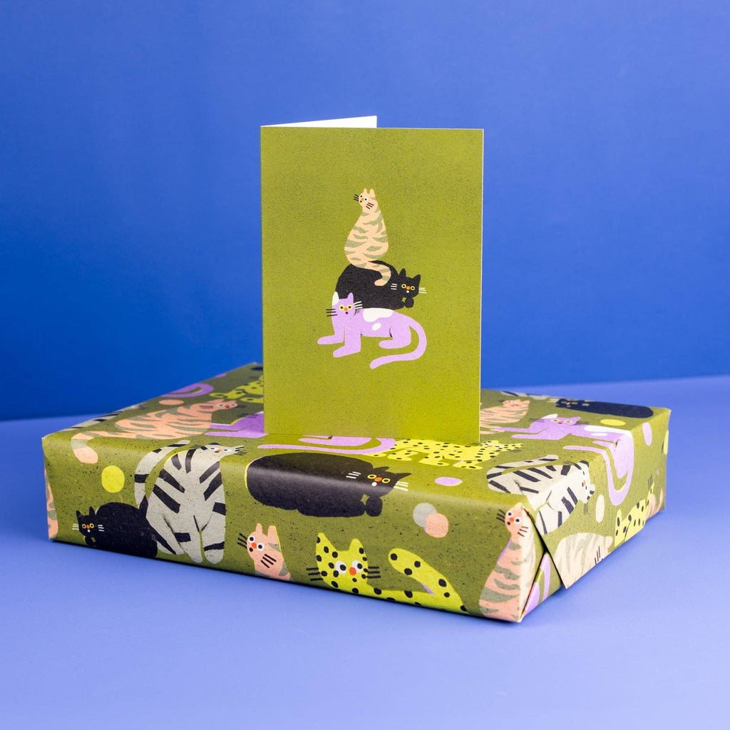 Suprised Cats Greetings Card by Zsófia Győrfi