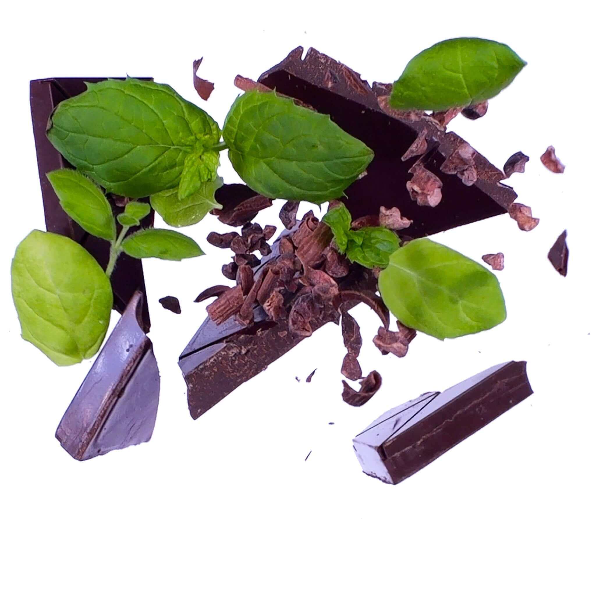 Mint Chocolate 65%