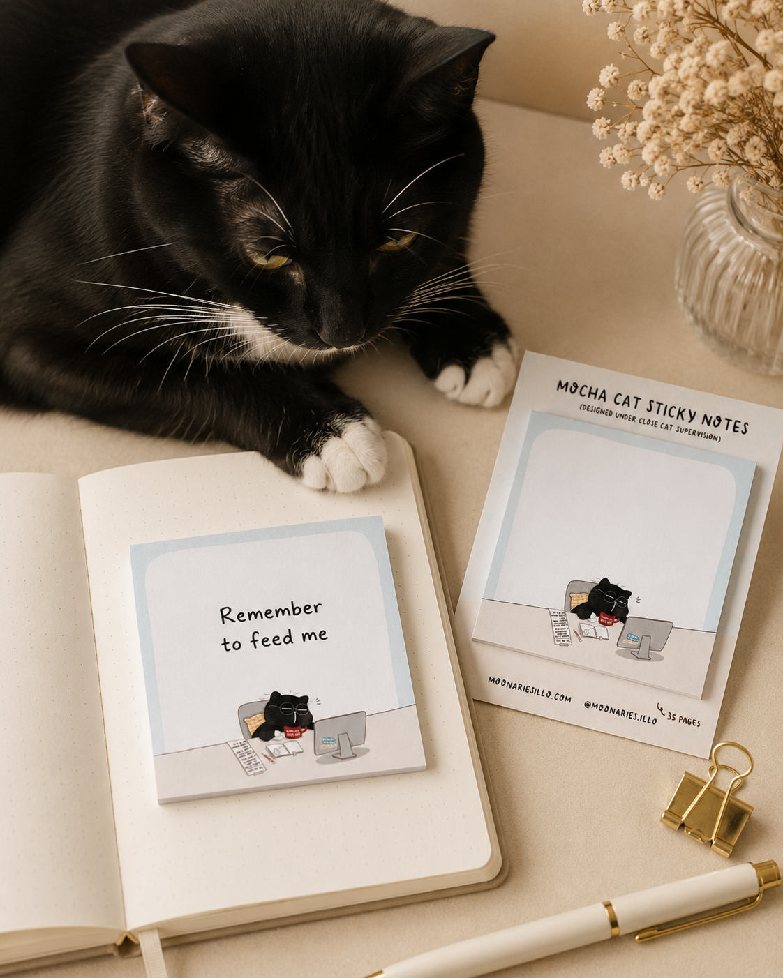 Cat Square Sticky Notes, Coworker Cat Gift