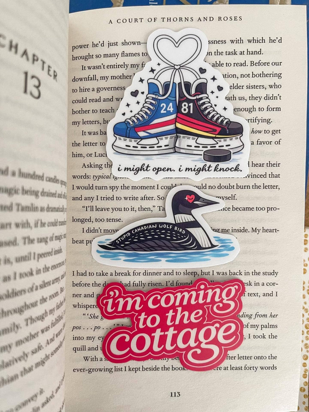 Loon Bird Sticker Hockey Romance