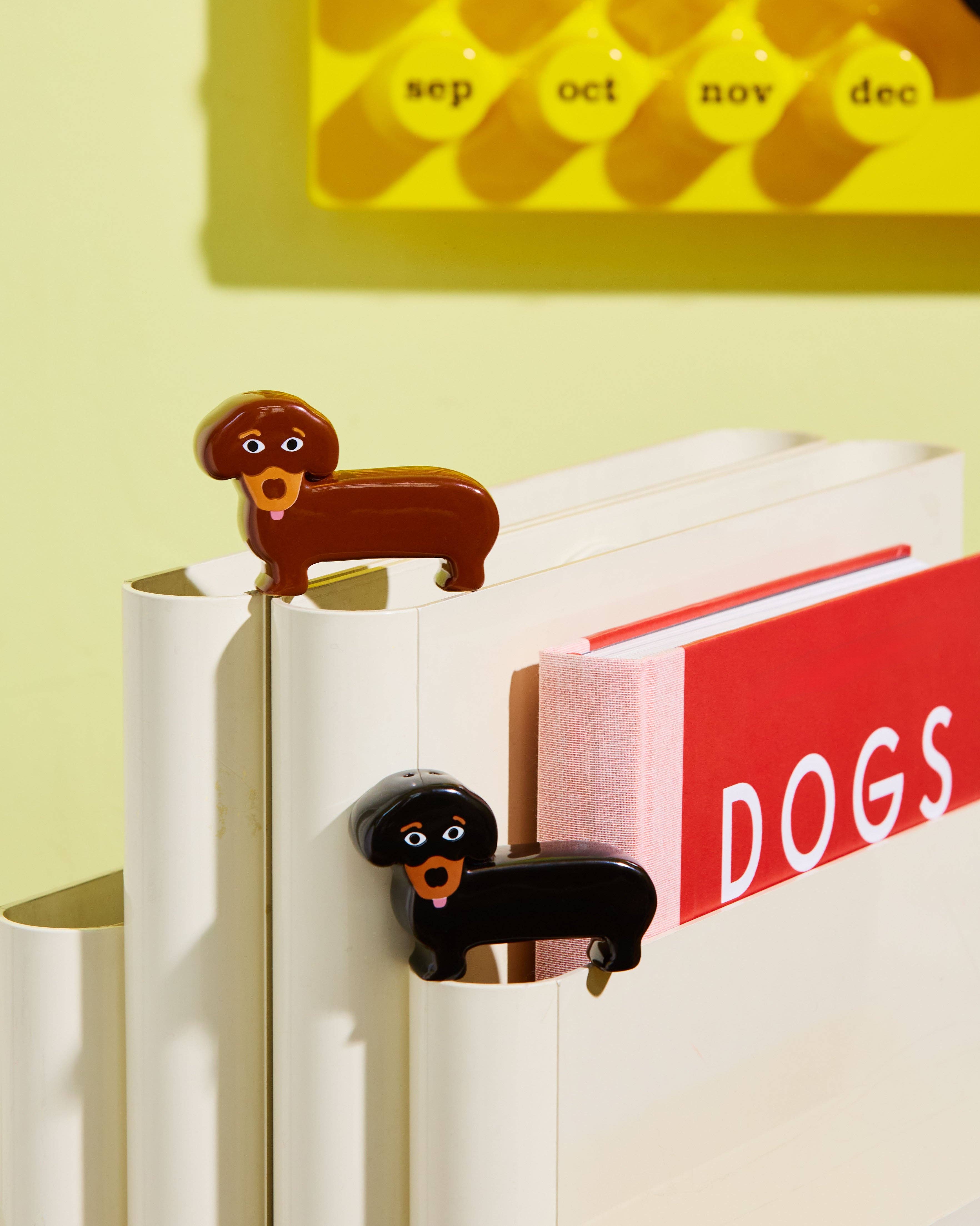 Salt and Pepper Dachshund