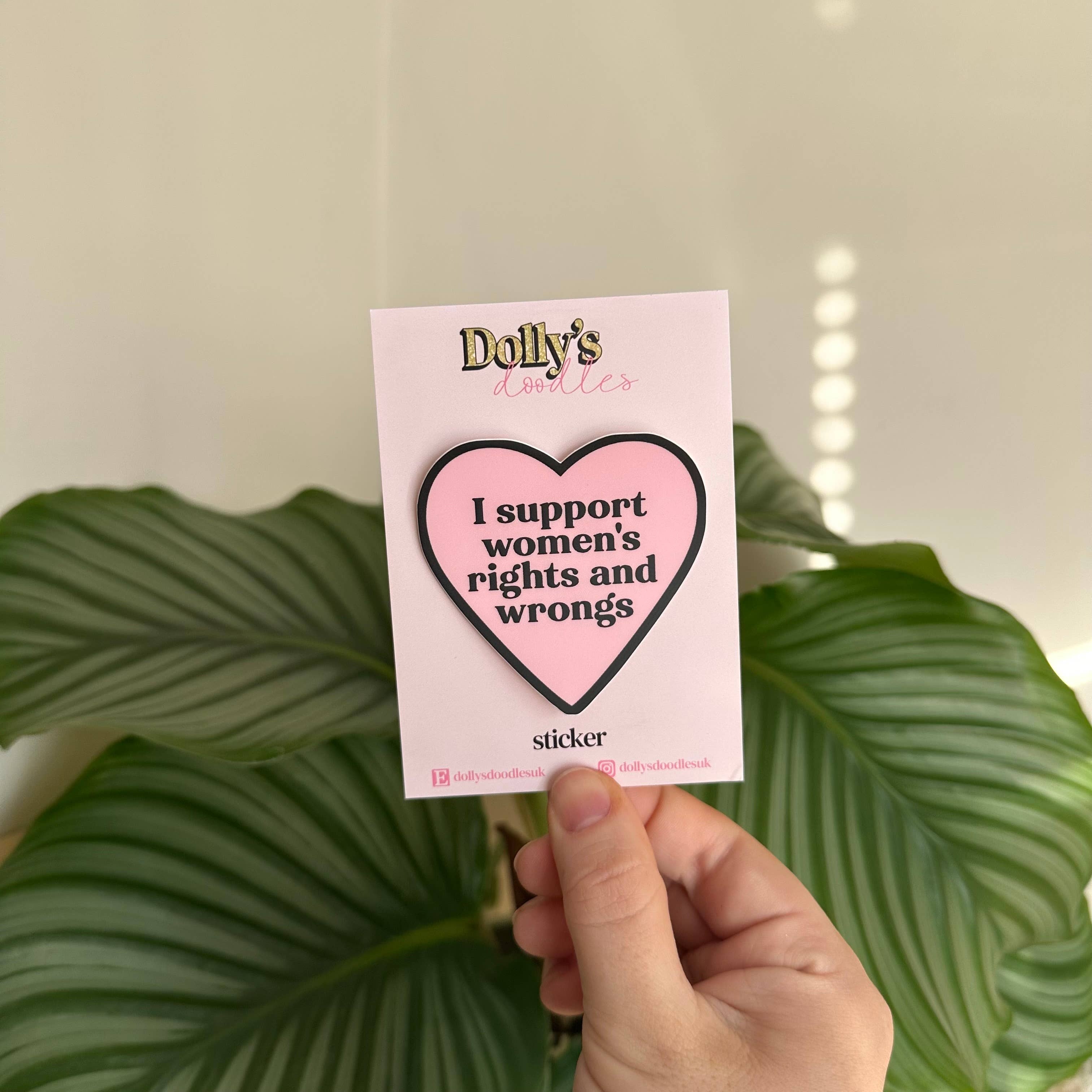 Matte Sticker | Womens Rights And Wrongs Funny Pink Gift