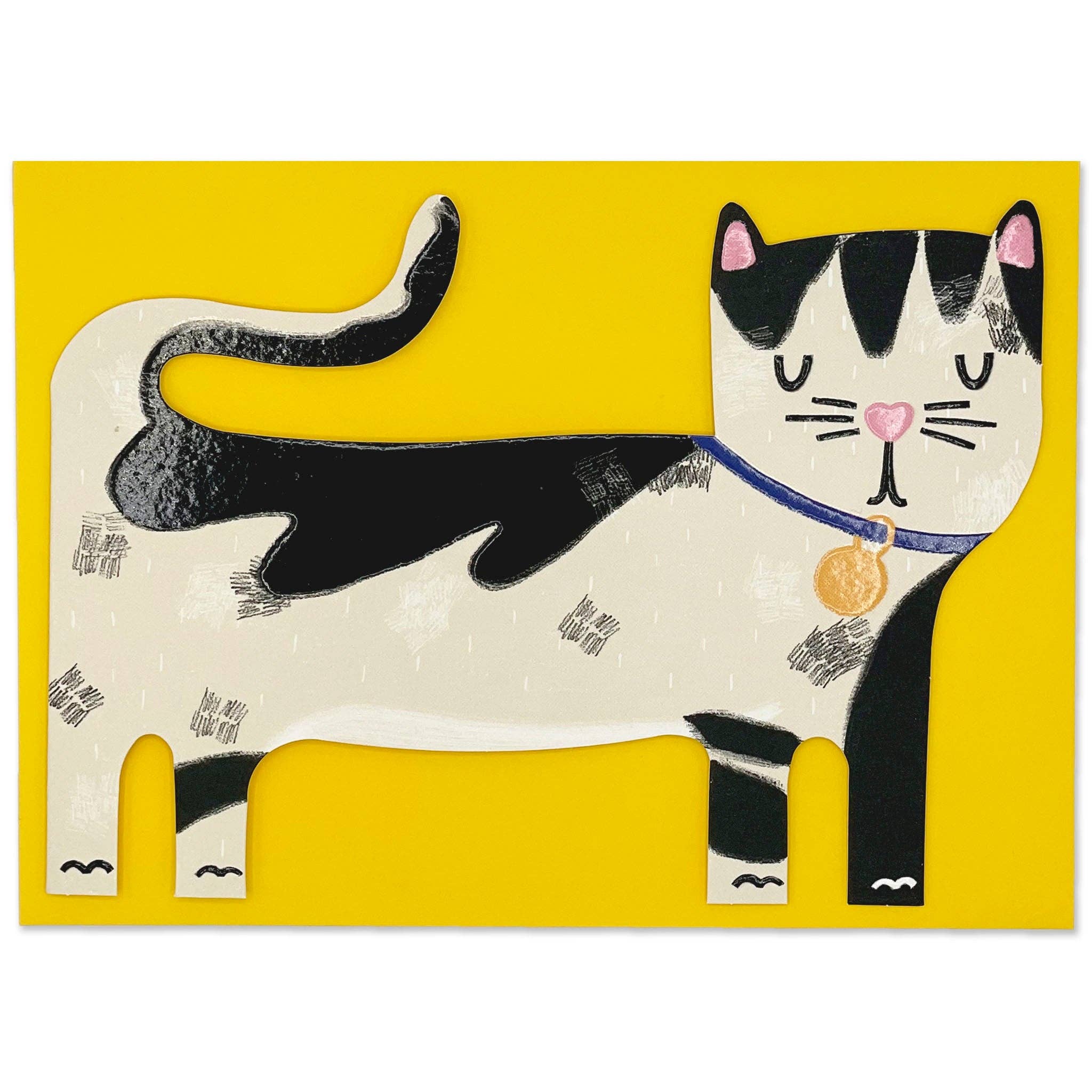 Black & White Cat (PAW05)