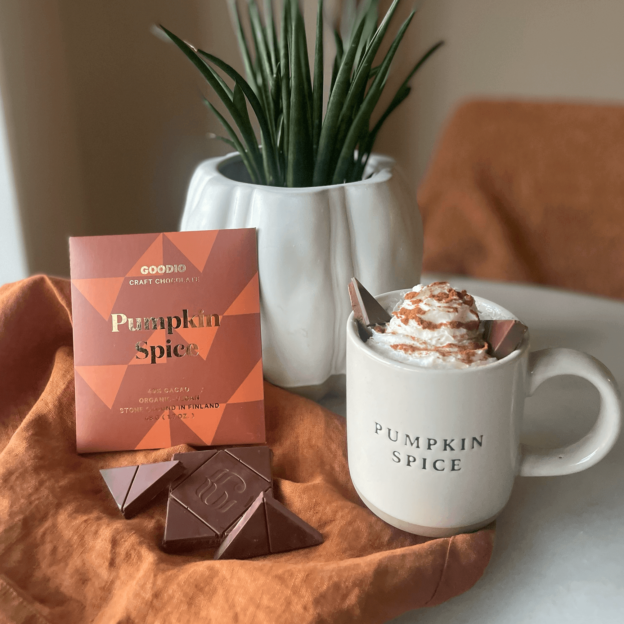 Pumpkin Spice Chocolate 49%