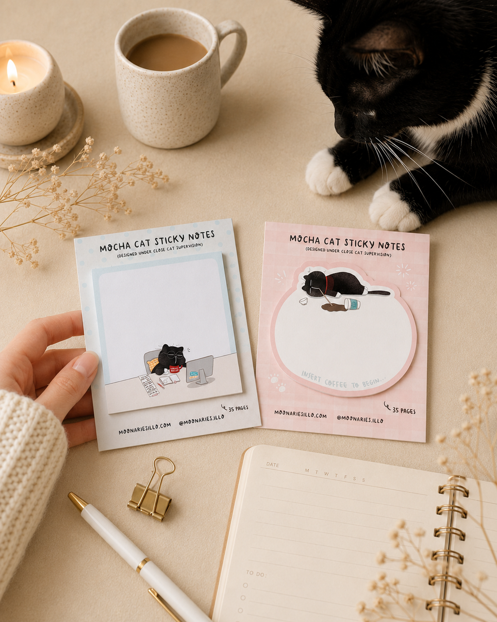 Cat Square Sticky Notes, Coworker Cat Gift