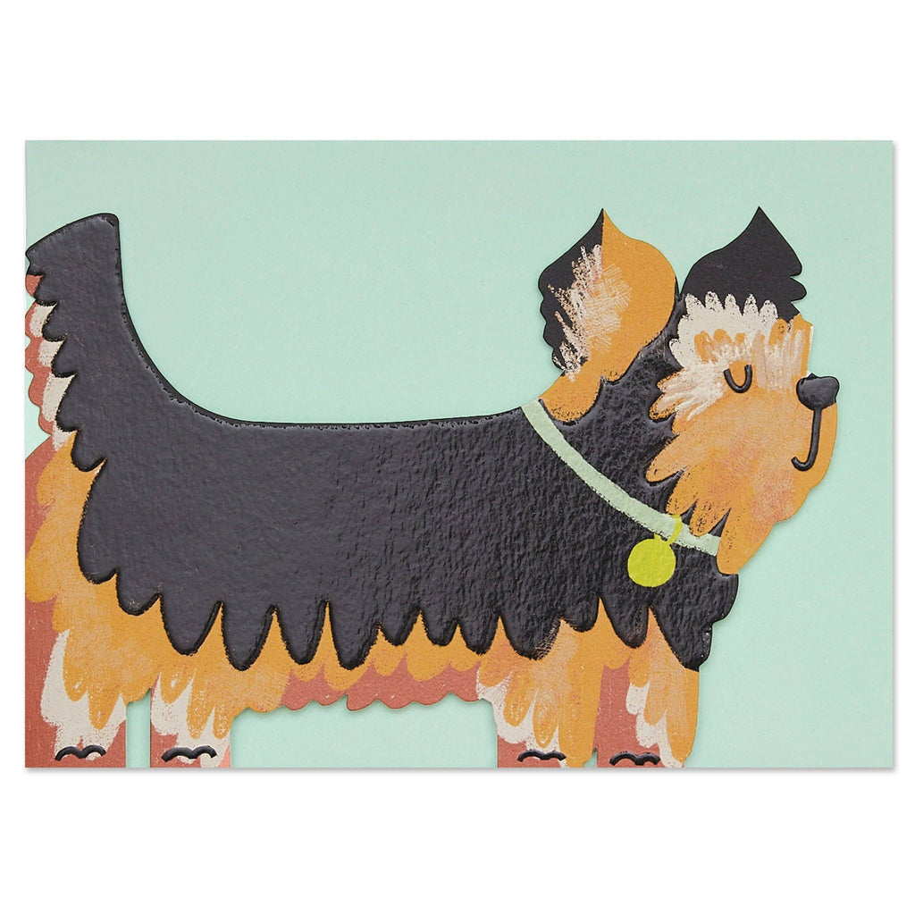 Yorkshire Terrier (PAW15)