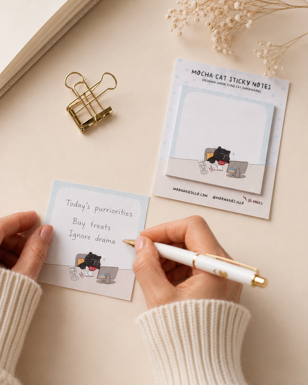 Cat Square Sticky Notes, Coworker Cat Gift