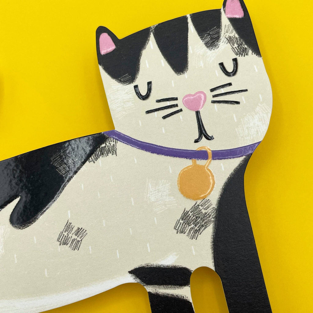 Black & White Cat (PAW05)